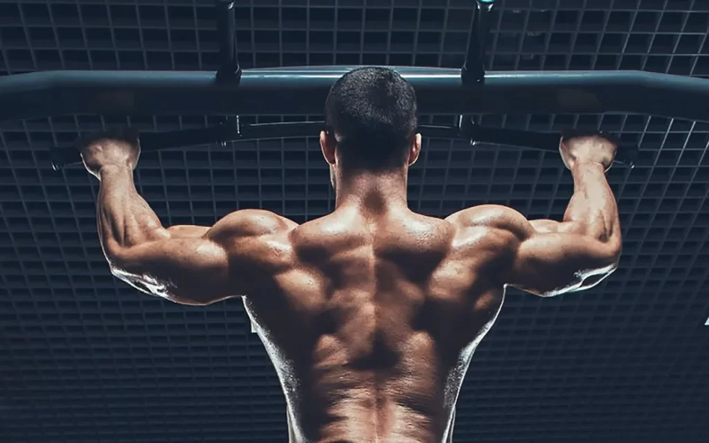 big back muscles using anadrol